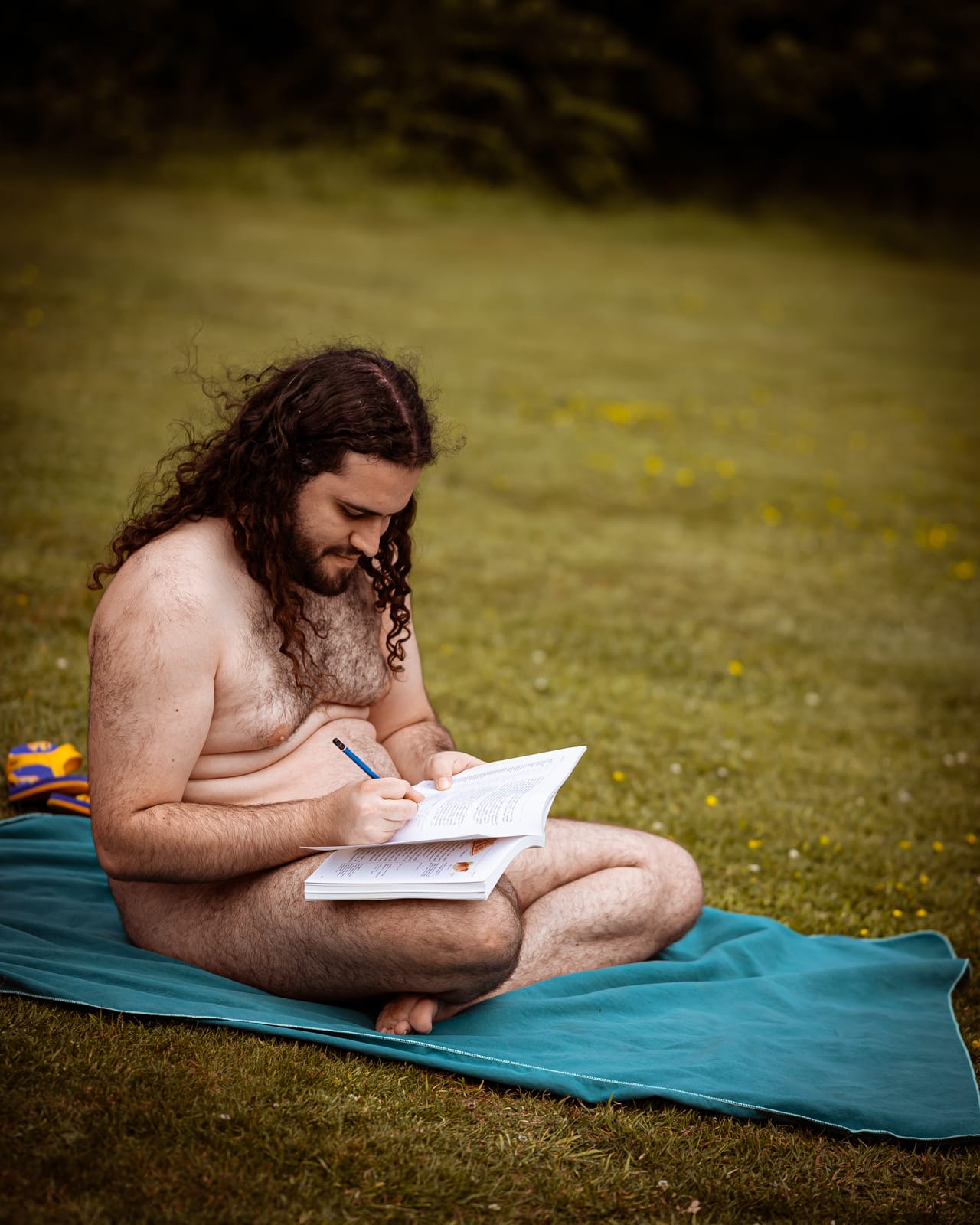 Ivan a l'herba llatí
