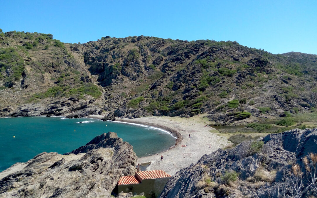 Senderisme botànic a cala Taballera