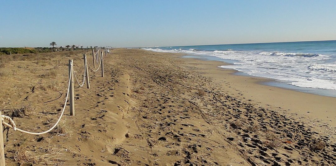 Dia de platja al Remolar